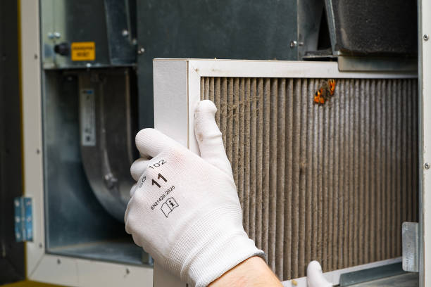 Best Affordable Air Duct Cleaning  in Maple Heights Lake Desire, WA