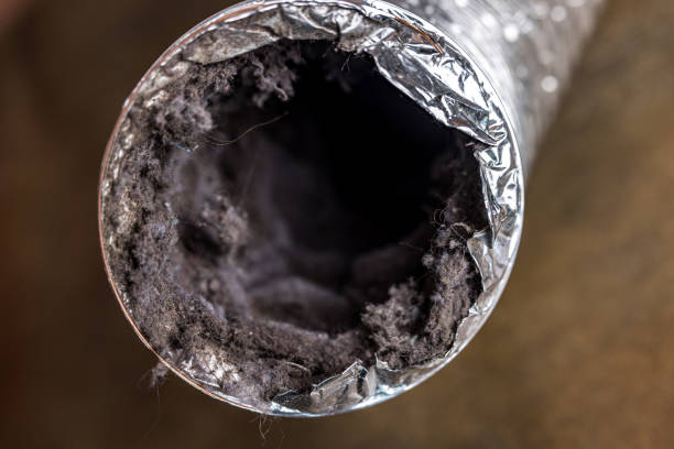 Best HVAC Air Duct Cleaning  in Maple Heights Lake Desire, WA