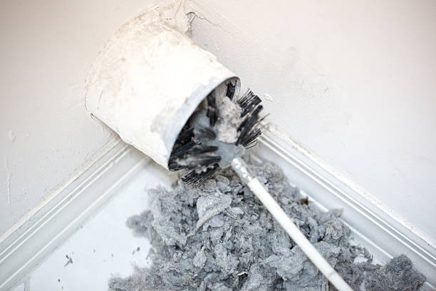 Best Affordable Duct Cleaning Services  in Maple Heights Lake Desire, WA